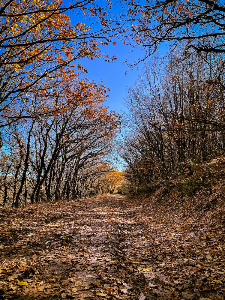 Photograph by mona gh