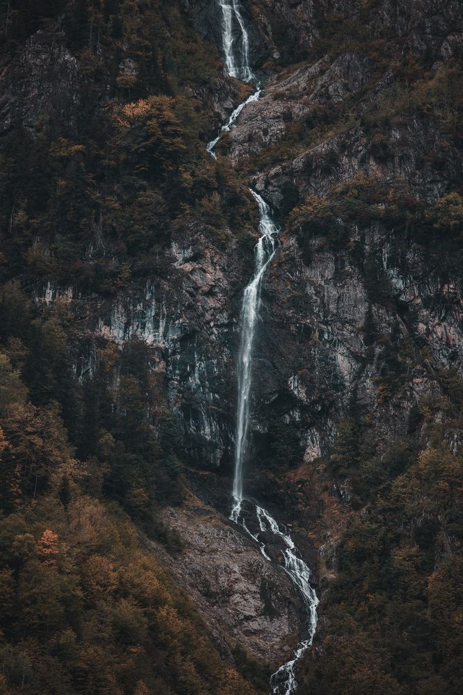 Фотография автора Fallen Angel