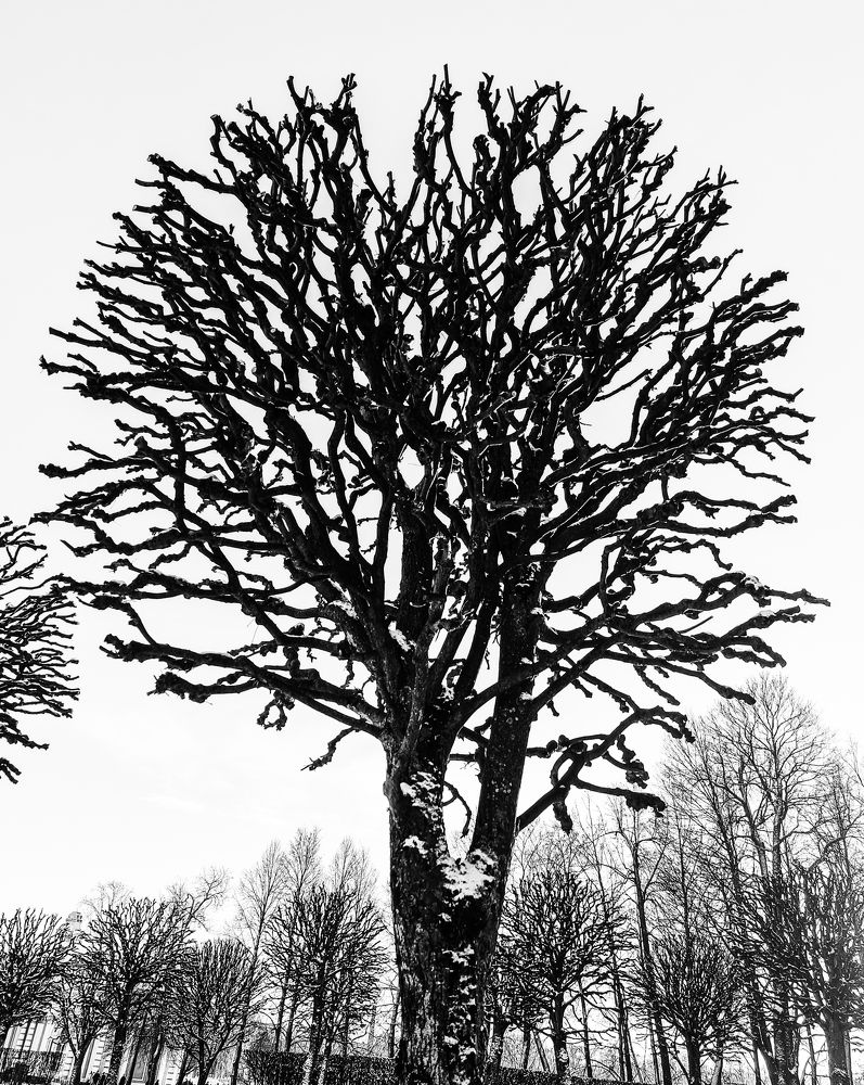 Photograph by Сергей Кесаев