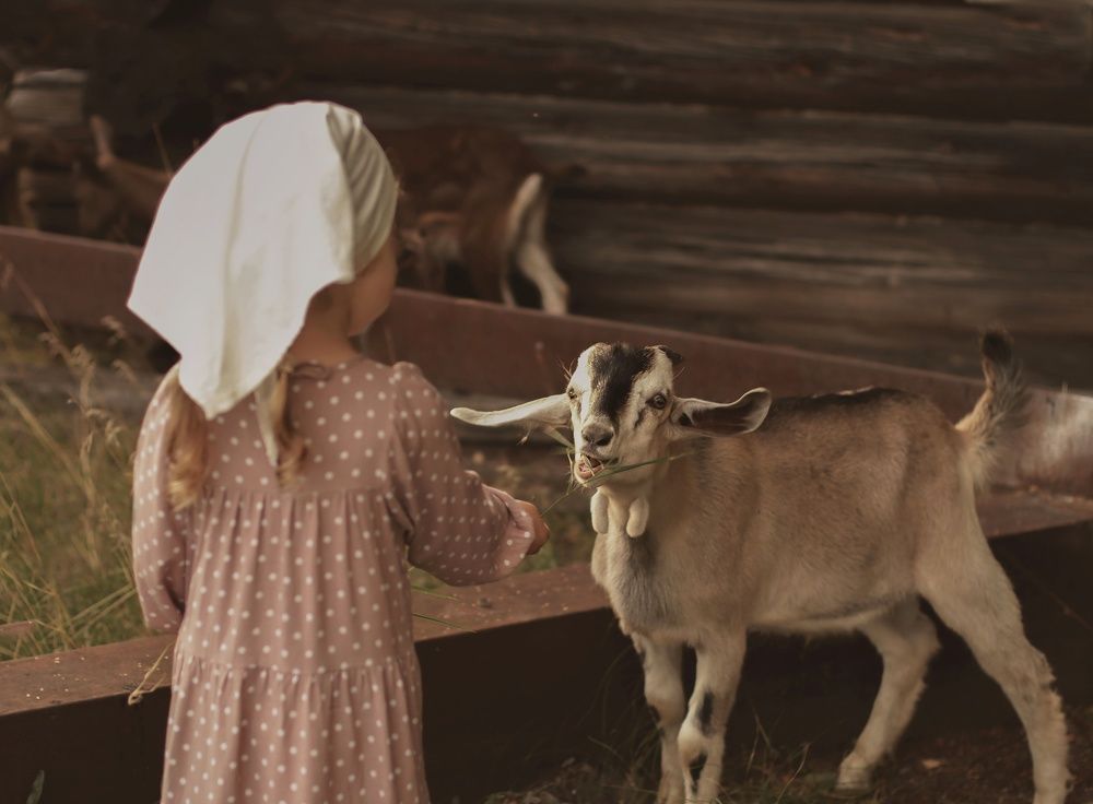 Photograph by Ирина Столбовая