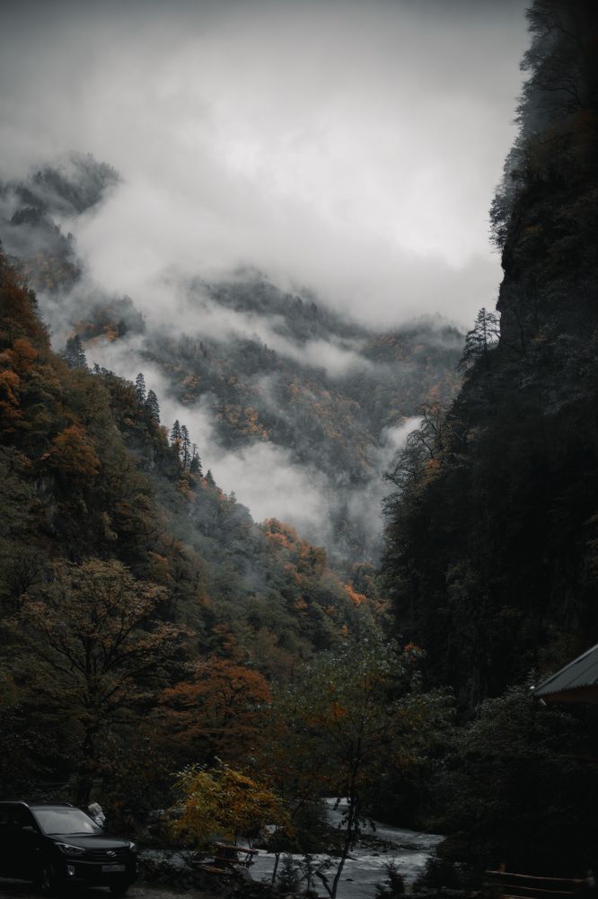 Фотография автора Fallen Angel