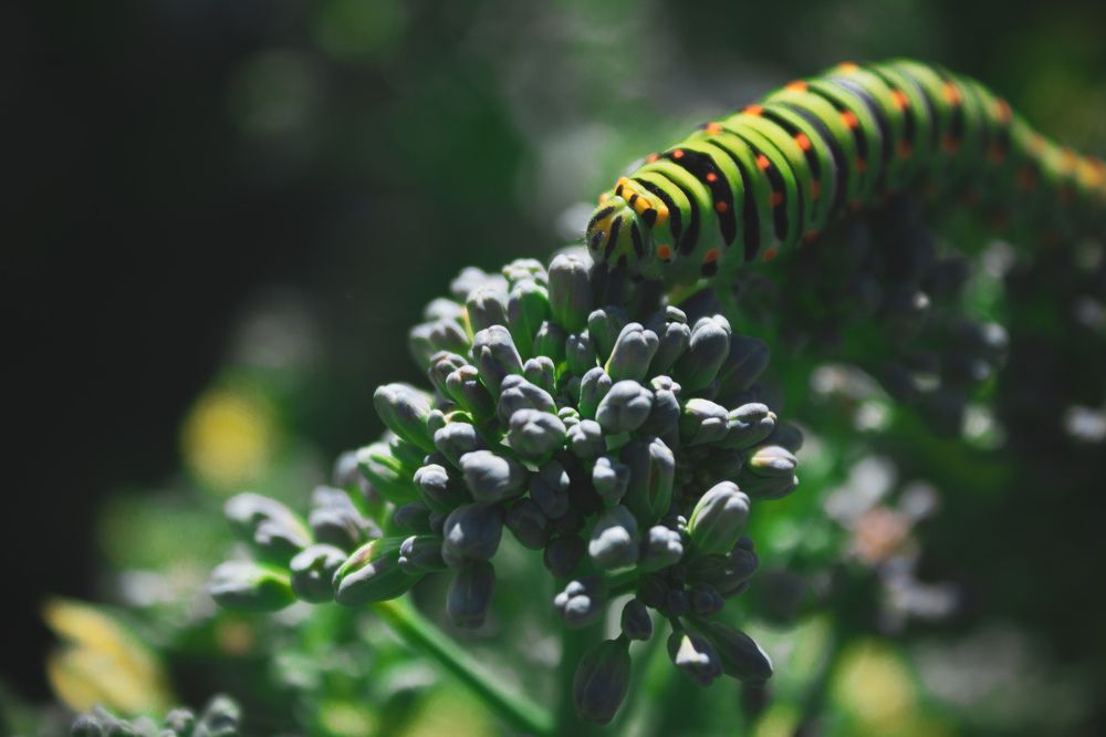 Photograph by Мади Балтабаев