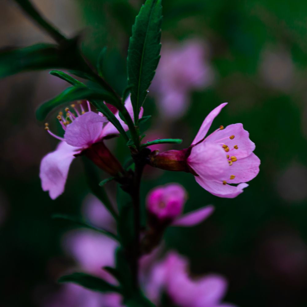 Photograph by Мади Балтабаев