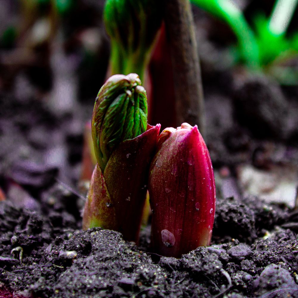 Photograph by Мади Балтабаев