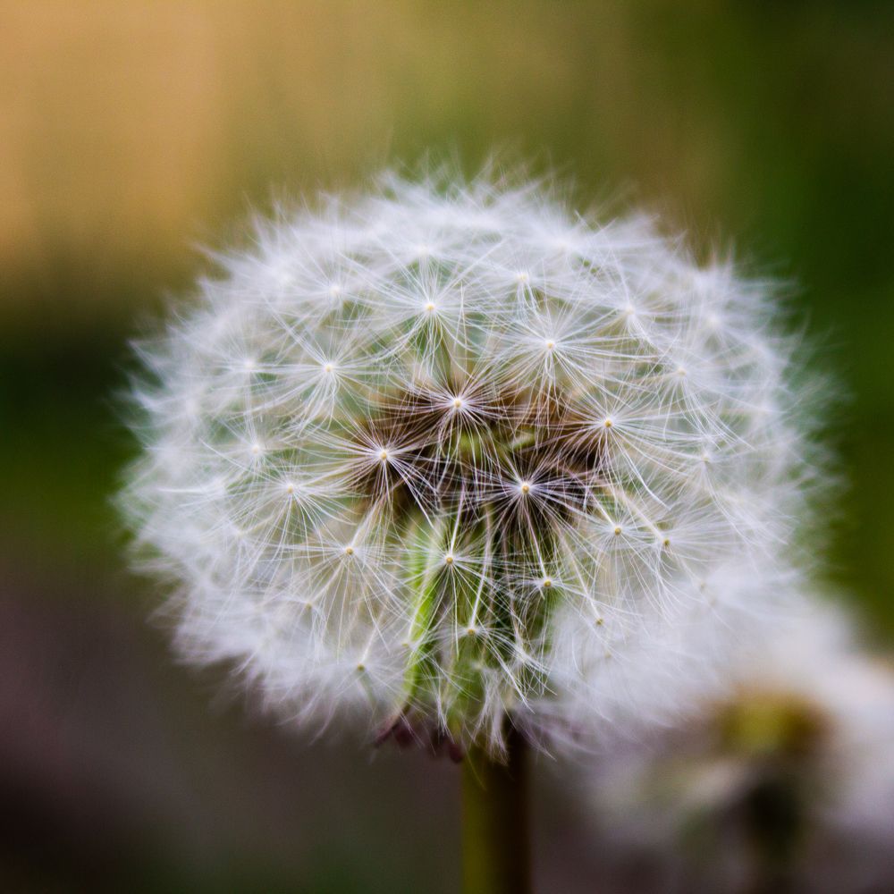 Photograph by Мади Балтабаев