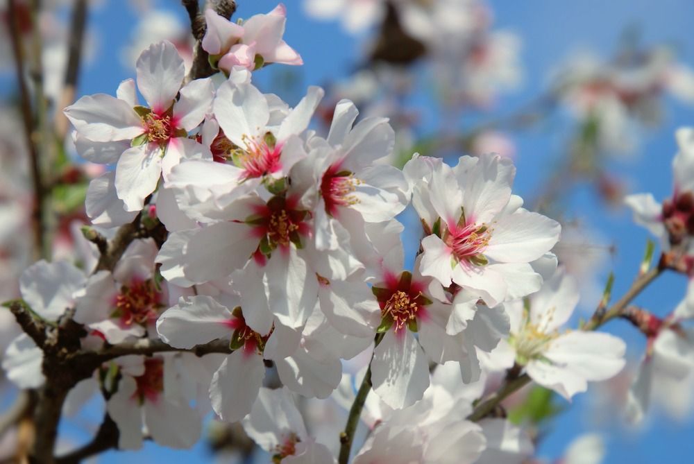 Photograph by Irina Radzinskaya