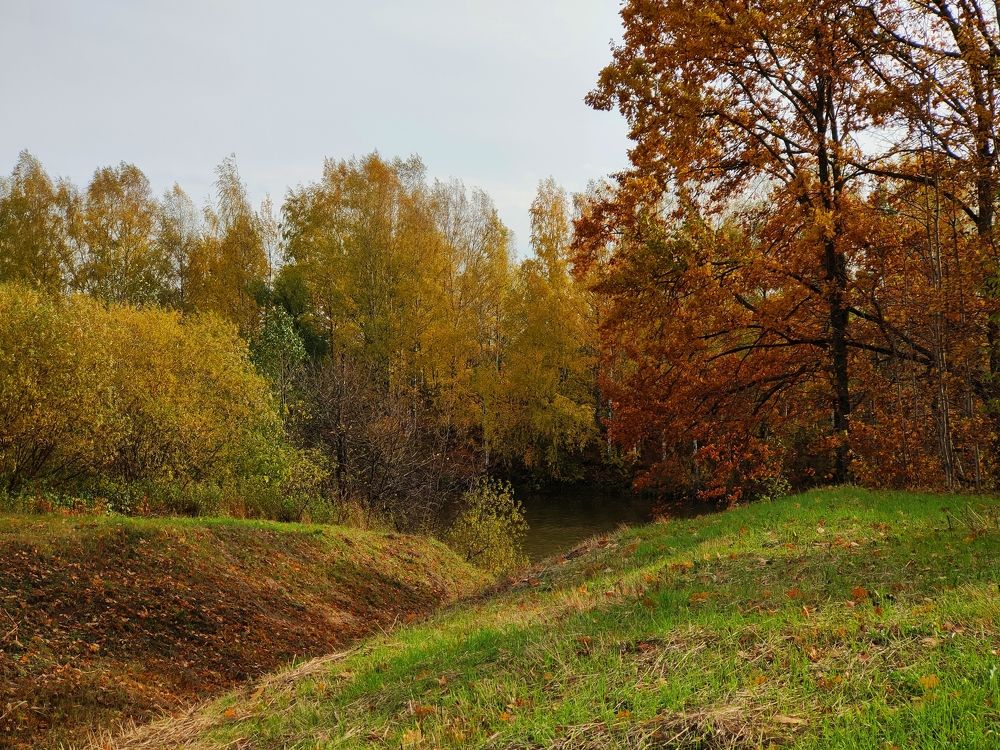 Photograph by Елена Верховская