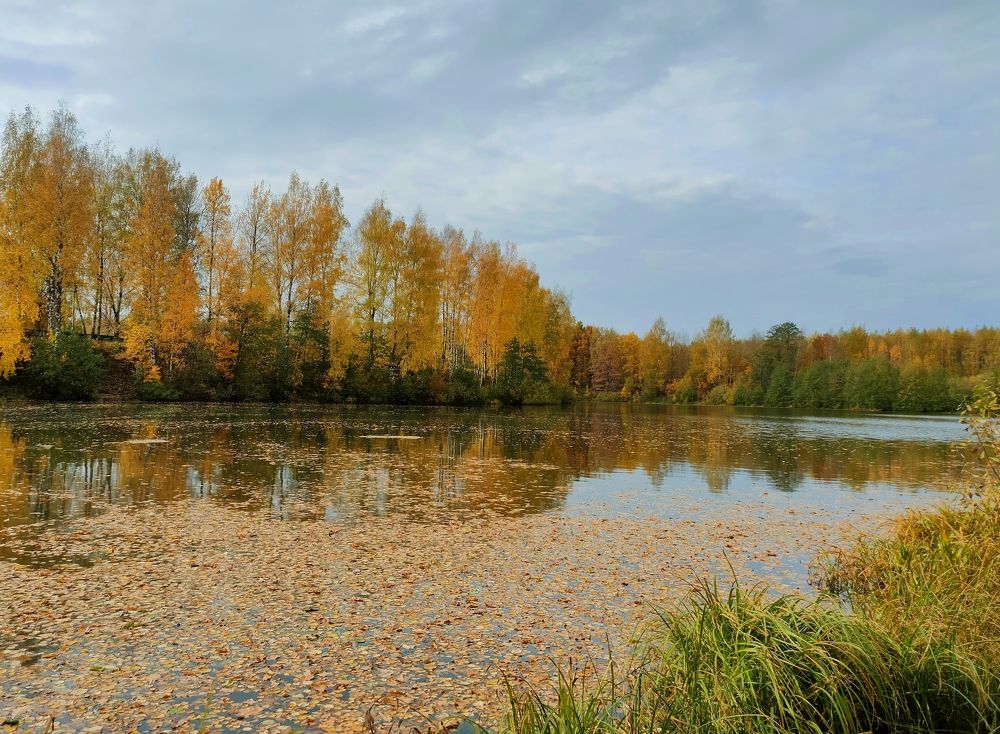 Photograph by Елена Верховская