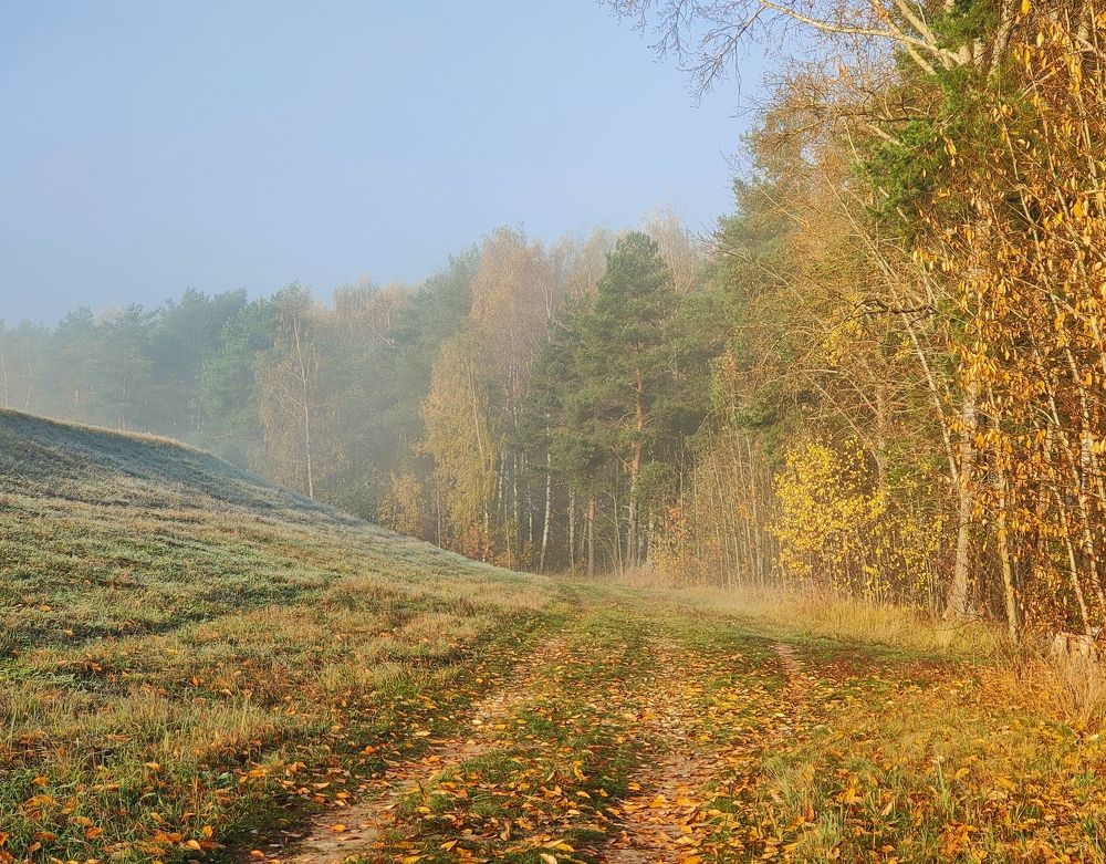 Photograph by Елена Верховская