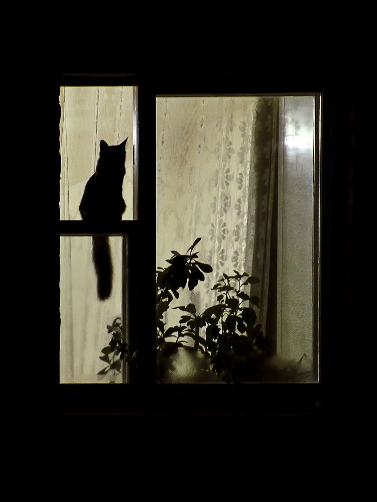 Photograph by Василий Либко