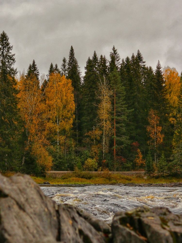 Photograph by Давыдов Николай