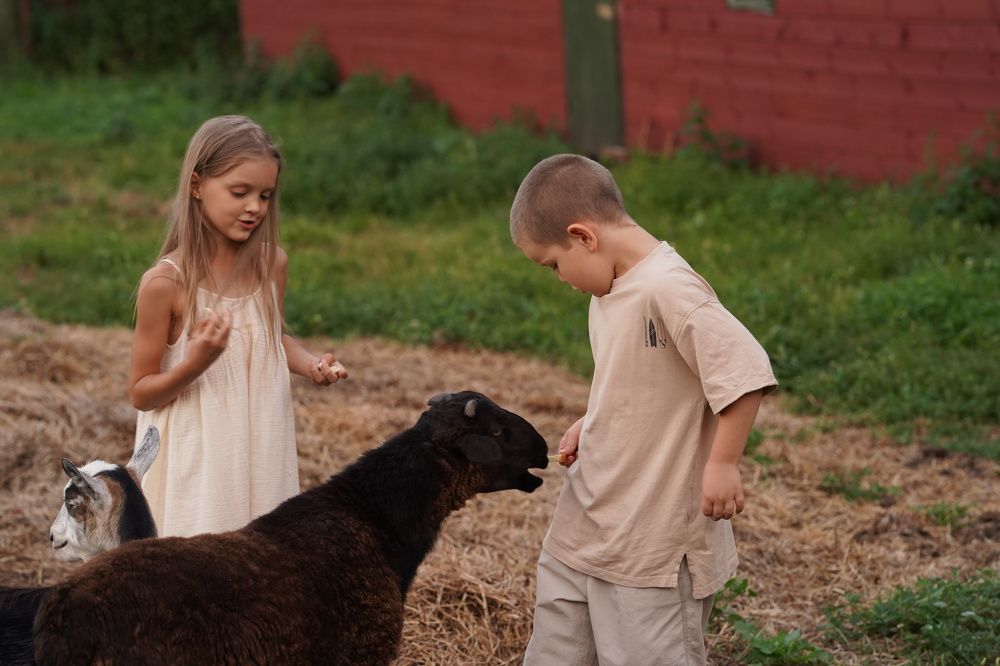 Photograph by Анастасия Колесникова