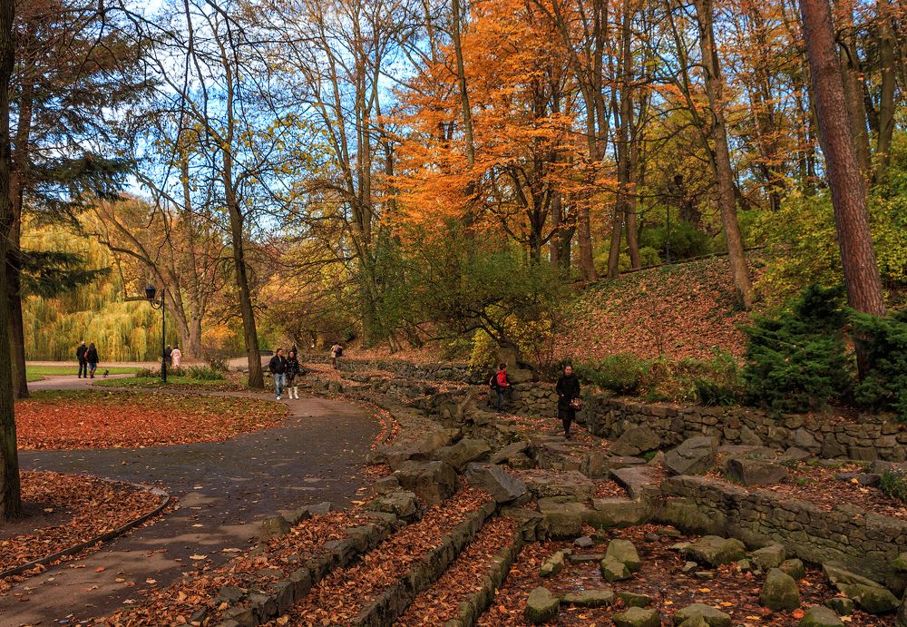 Рыжая осень