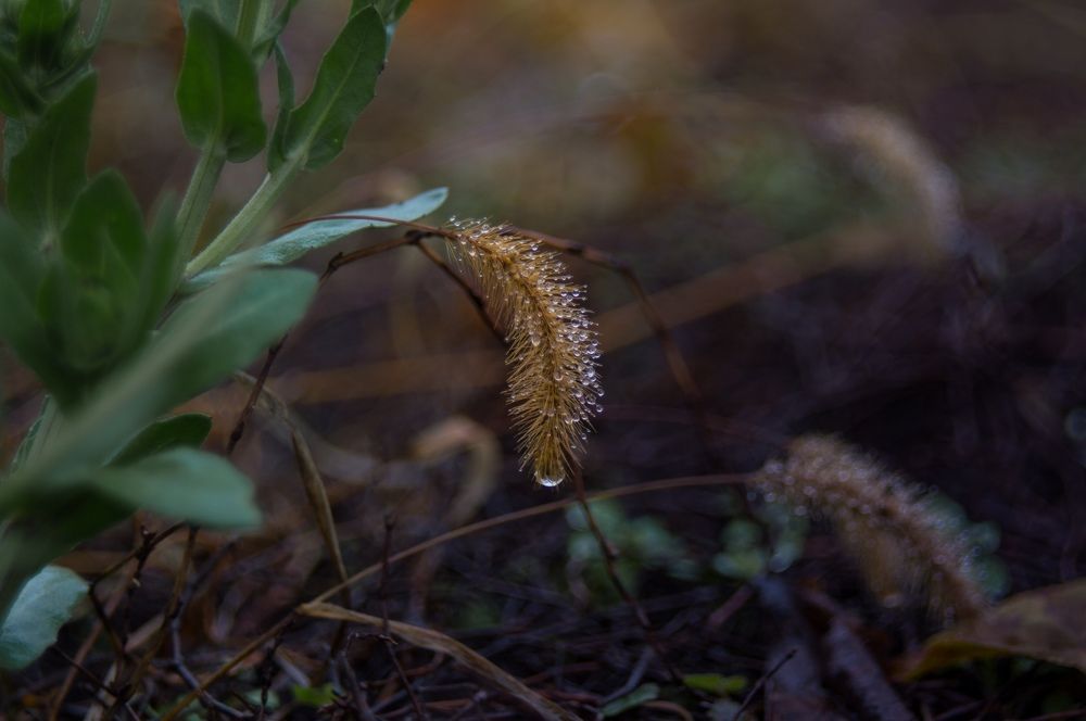 Photograph by Анастасия