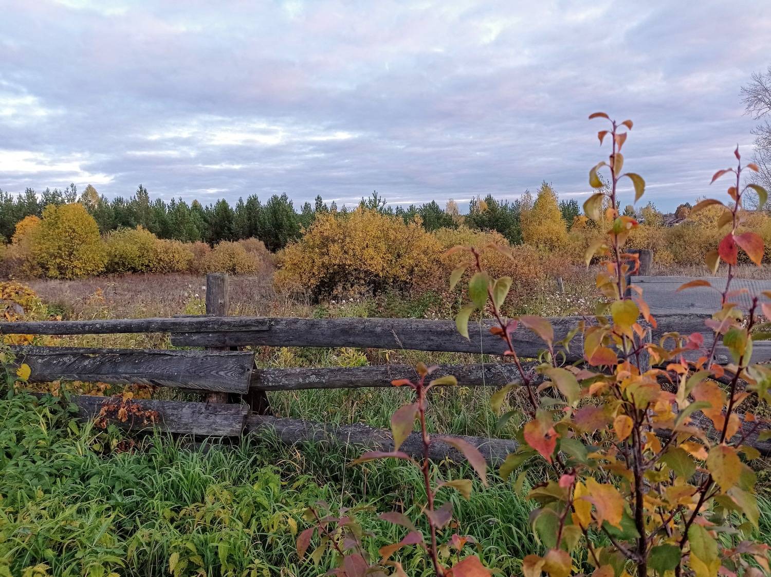 Photo #9602903