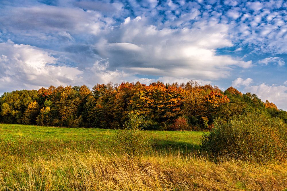 Photograph by Леонид Соболев