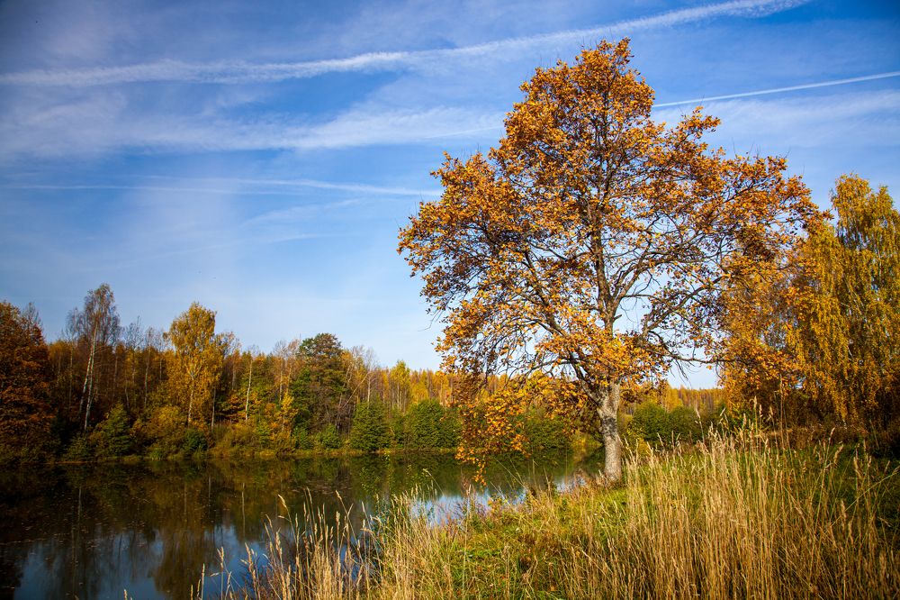 Photograph by Балакин Евгений
