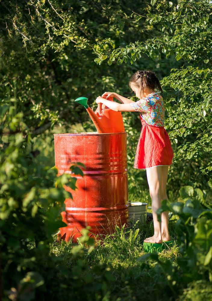 Фотография автора Надежда Бойкова