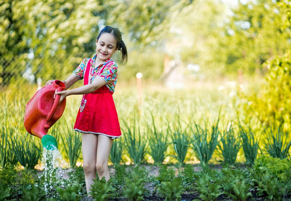Фотография автора Надежда Бойкова