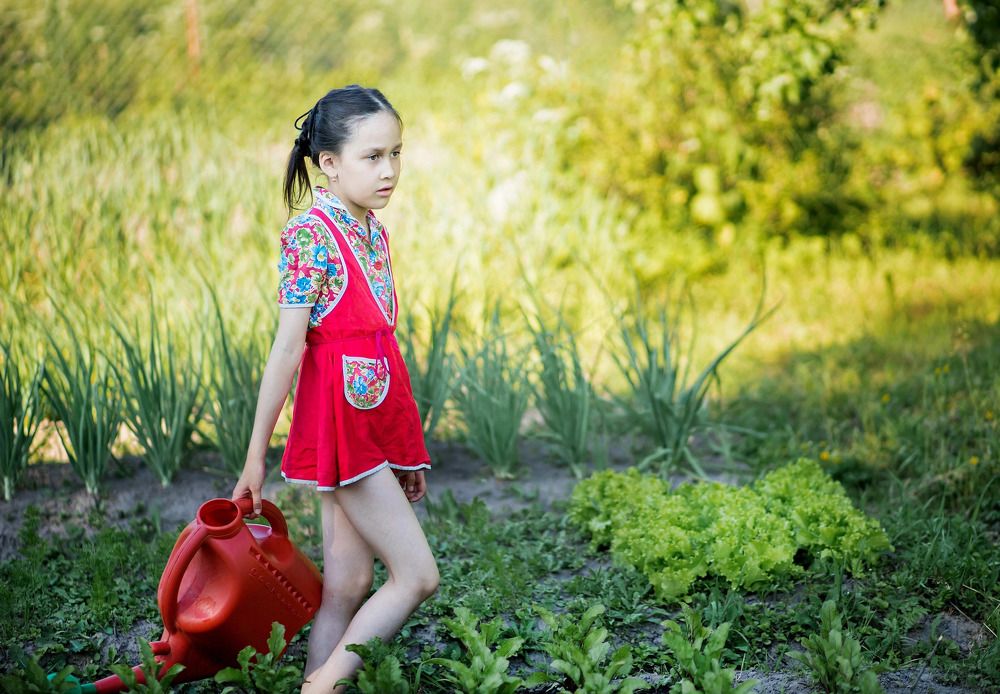 Фотография автора Надежда Бойкова