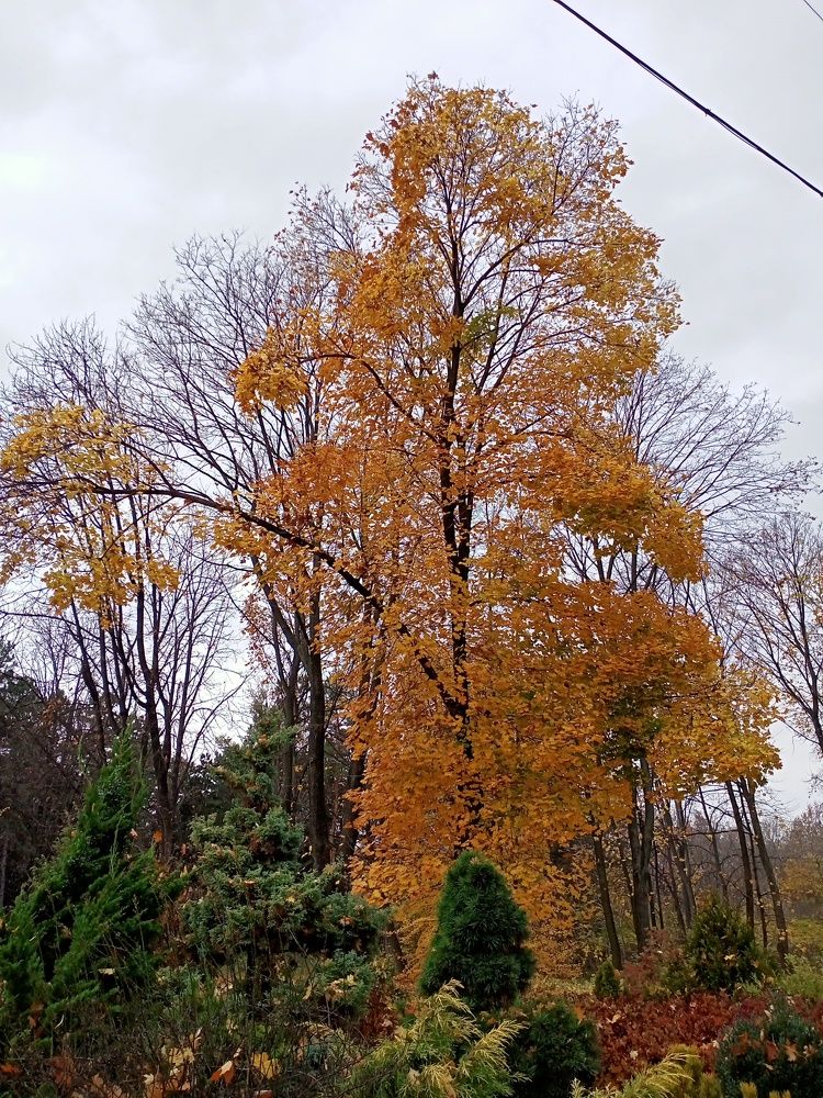 Photograph by Адамян Анна