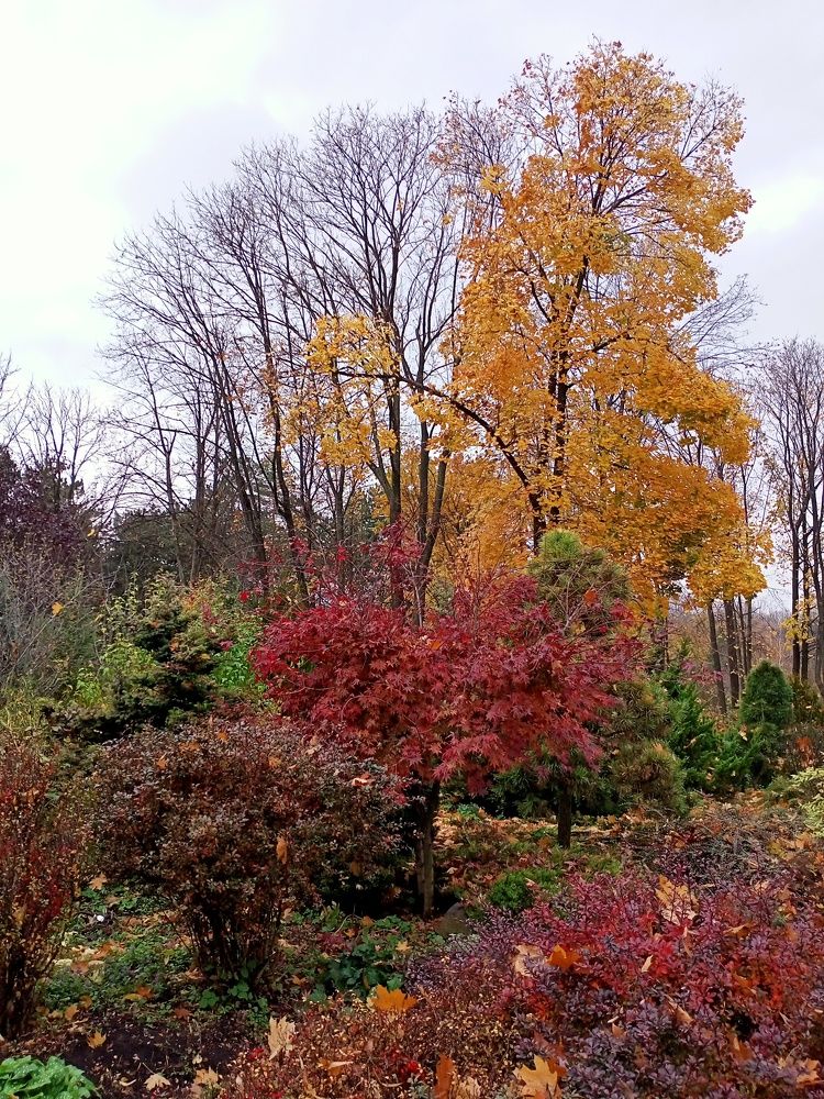 Photograph by Адамян Анна