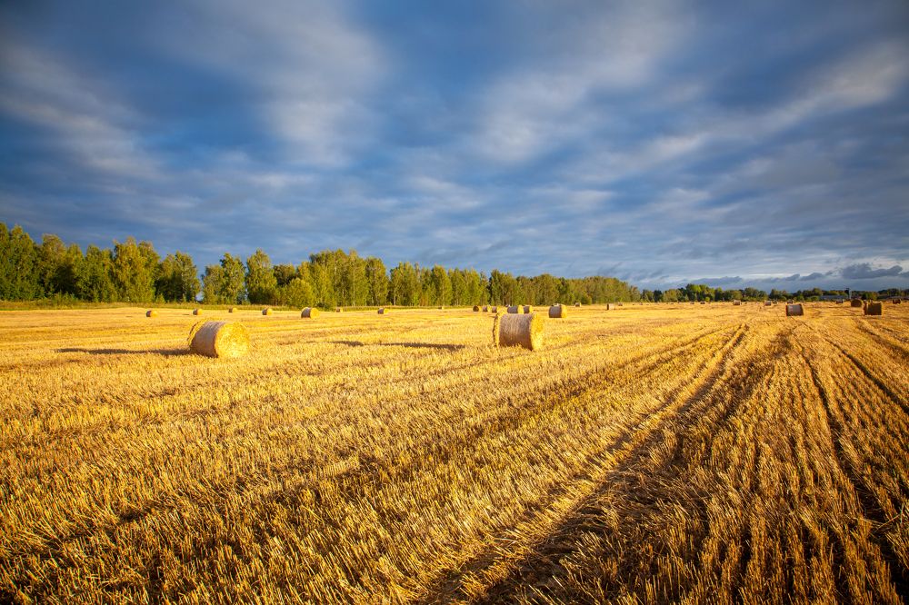 Photograph by Балакин Евгений