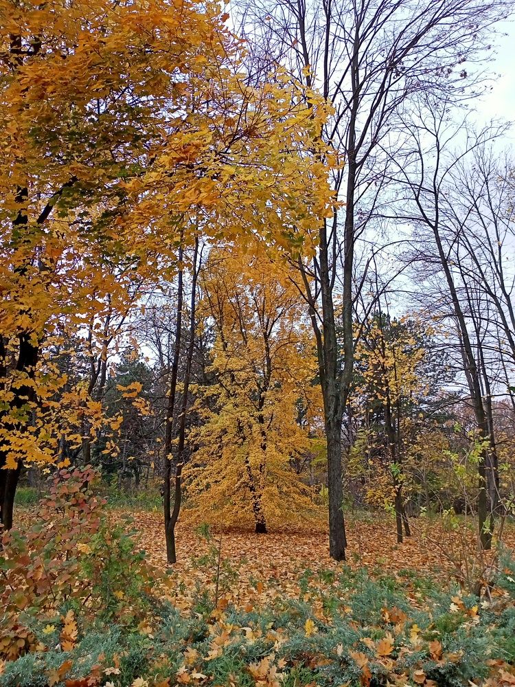 Photograph by Адамян Анна