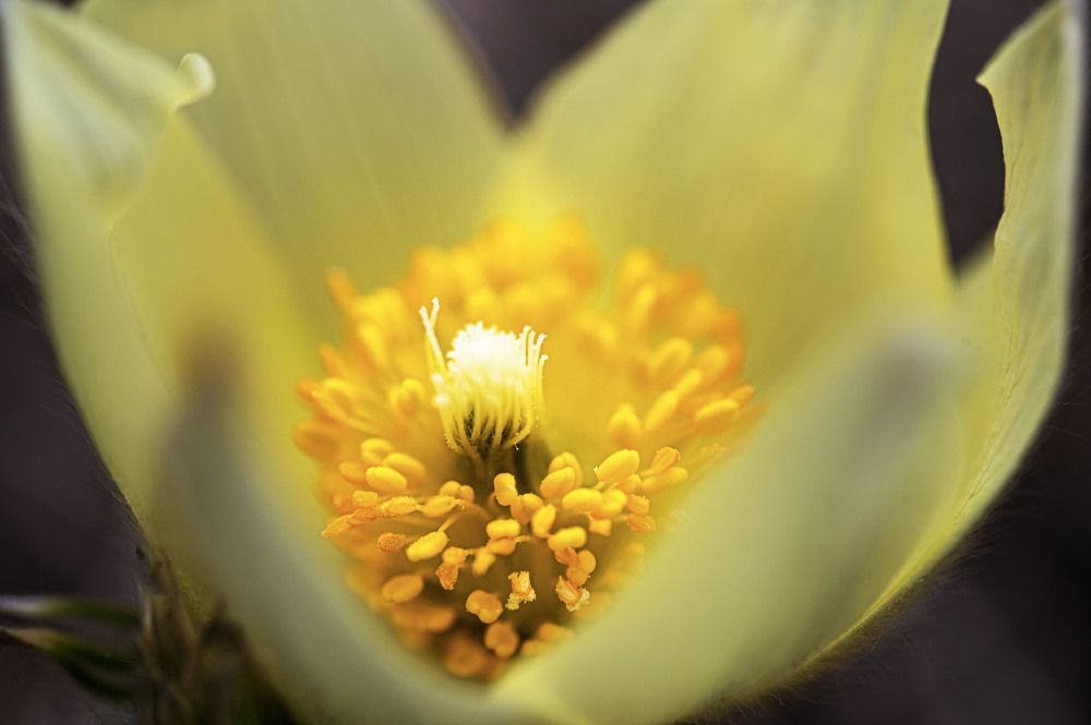 Photograph by Светлана Андреева