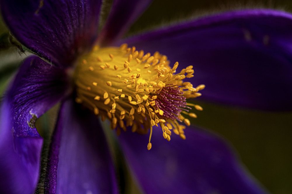 Photograph by Светлана Андреева