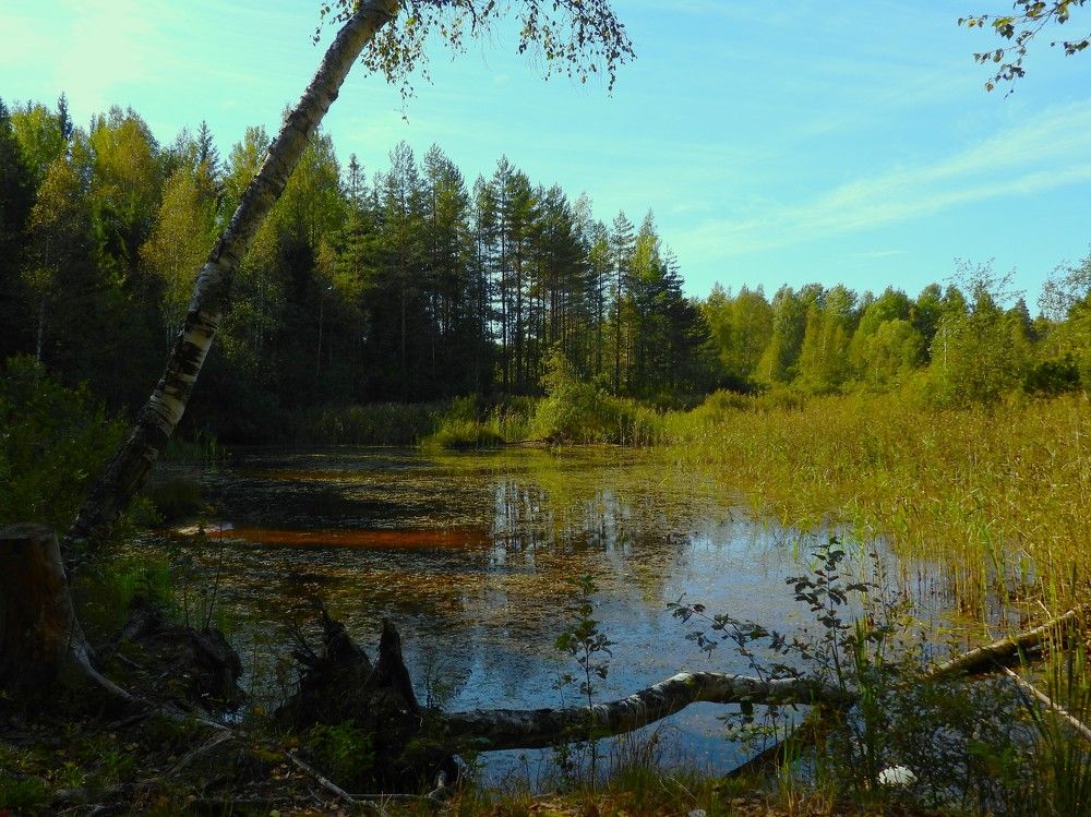 Photograph by Владимир Джерихов