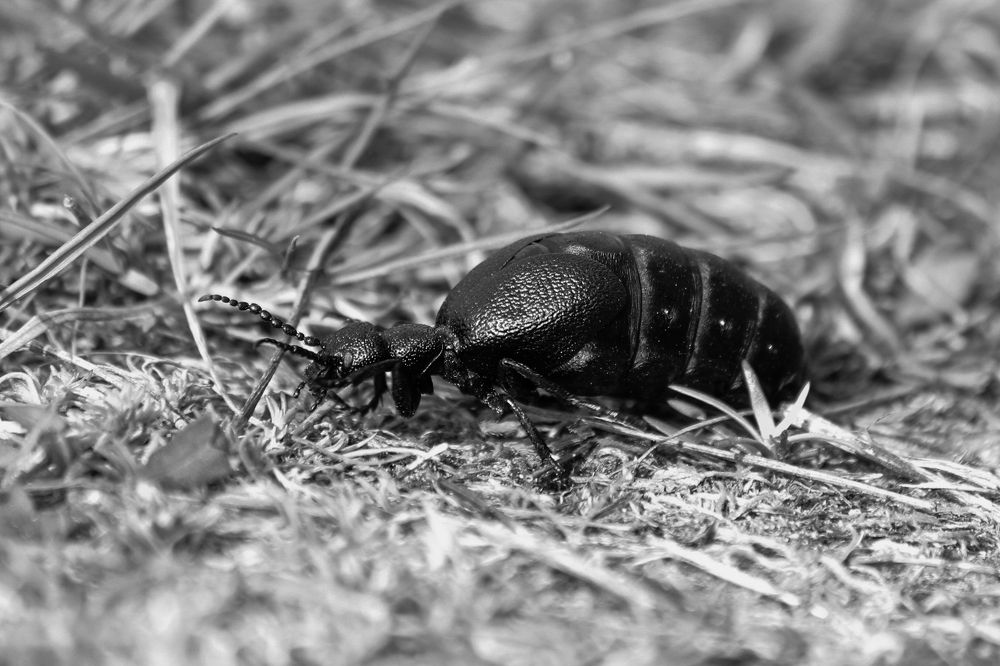 Photograph by Елена Верховская