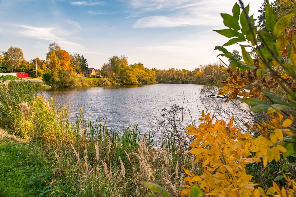 Photograph by Евгения Демина