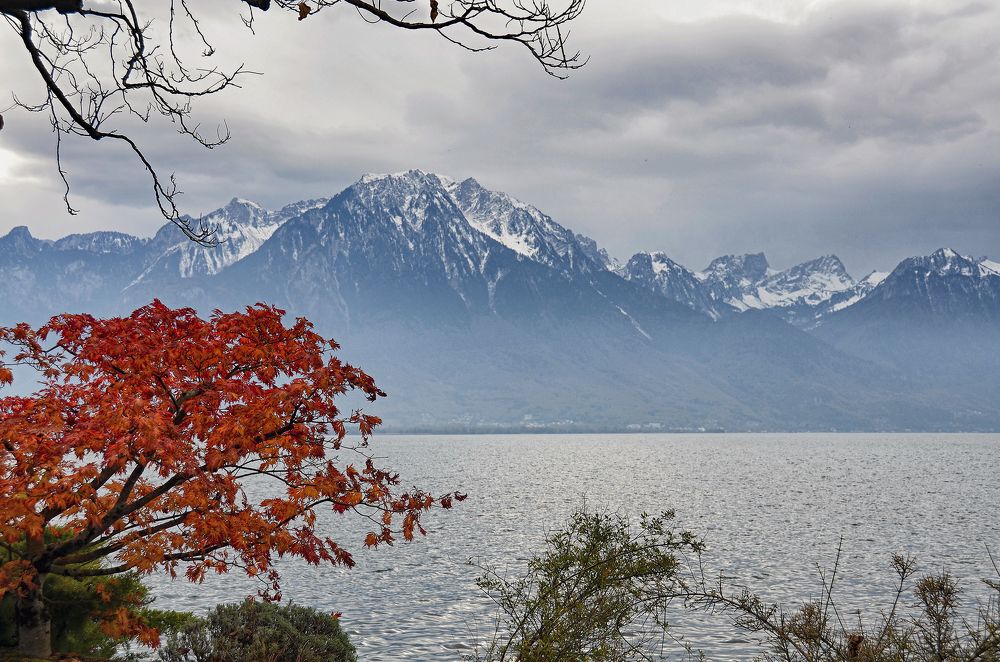 Photograph by Валерий