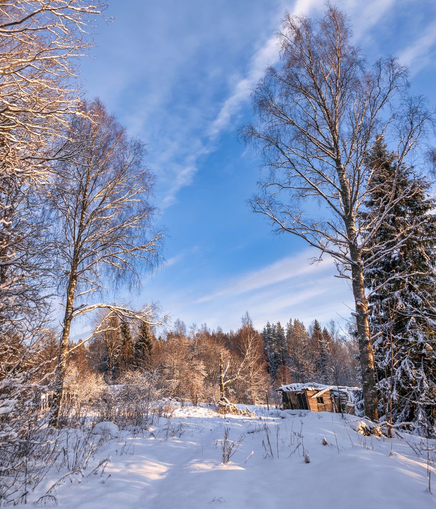 Photograph by Сергей Малеев