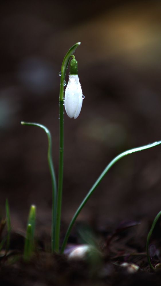 Фотография автора Evgeniya Ivanova