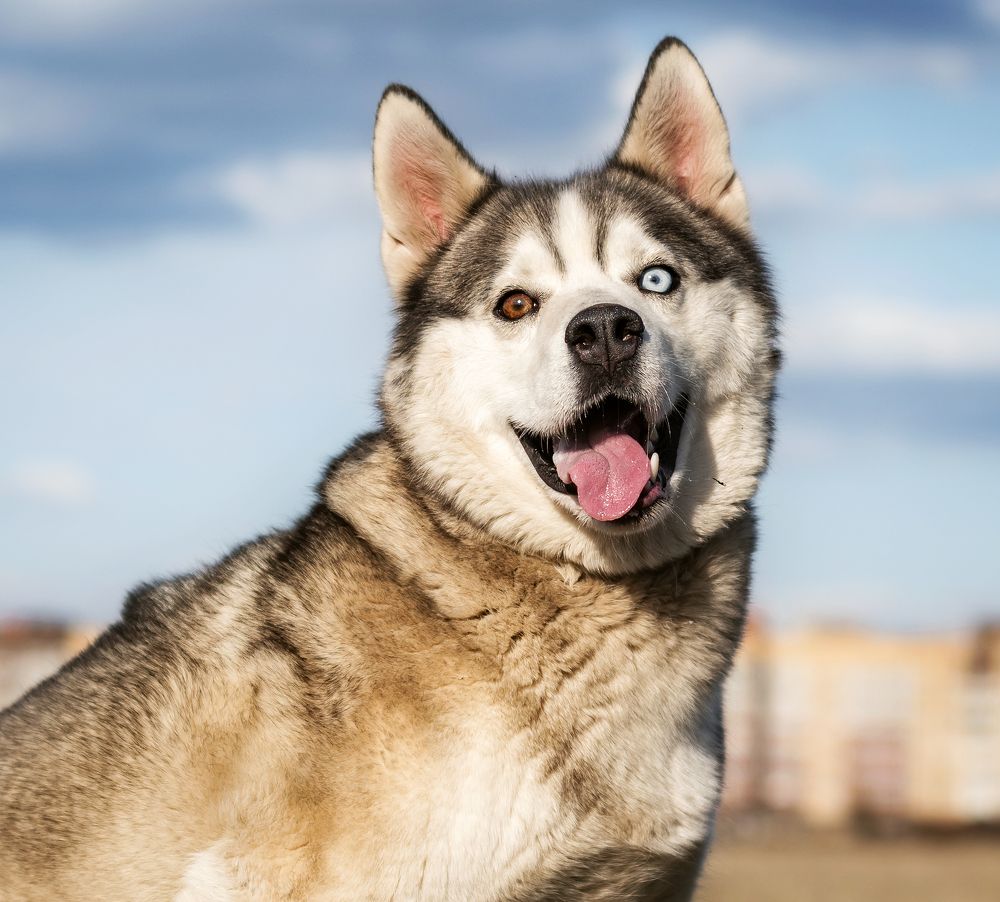 Photograph by Соколова Елена