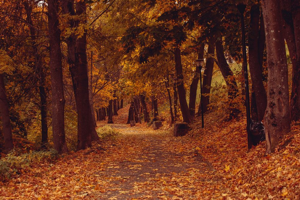 Photograph by Алексей Сулла