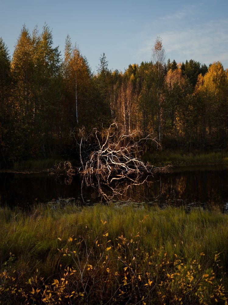 Photograph by Роман Бабин