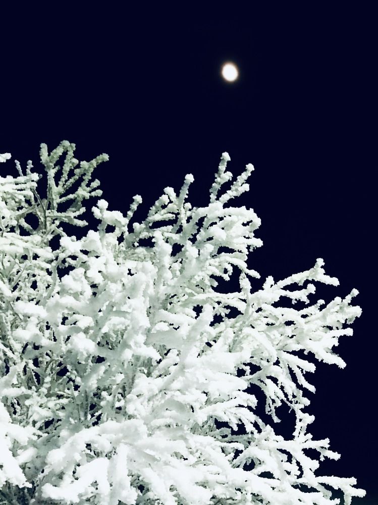 Photograph by Ирина Коваль