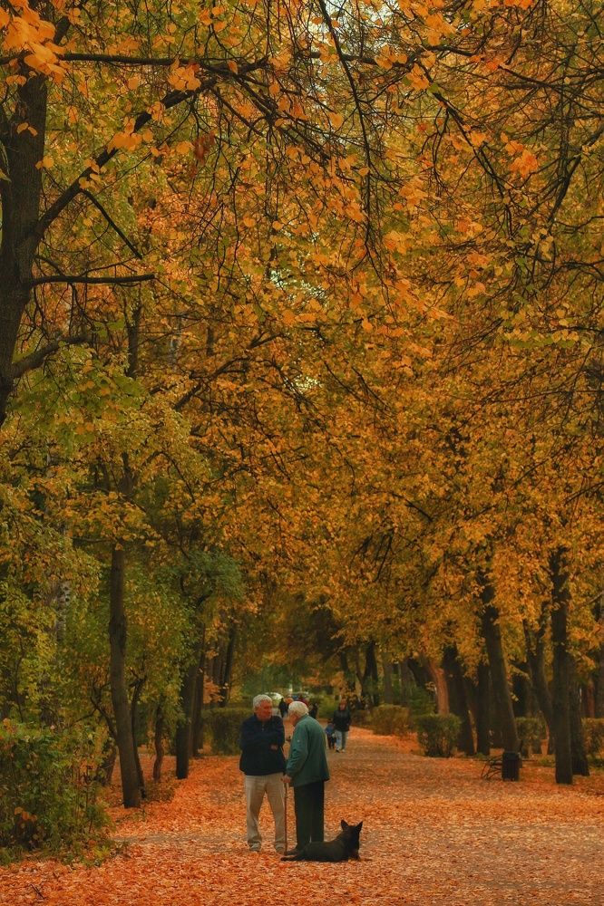 Photograph by Инга Сабанова