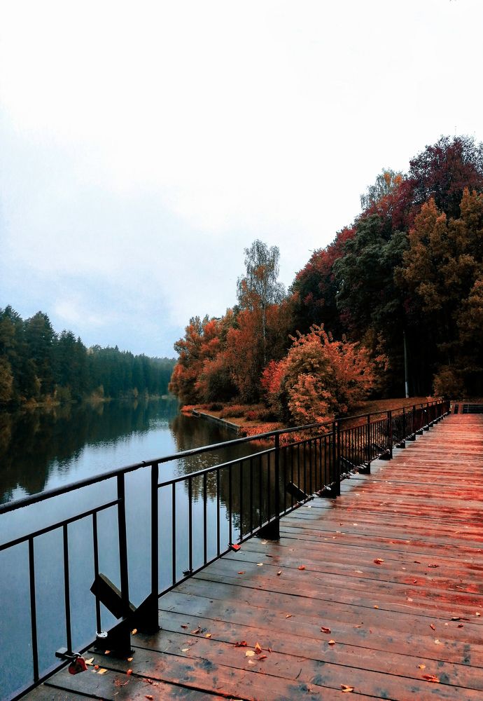 Photograph by Михаил Бородкин