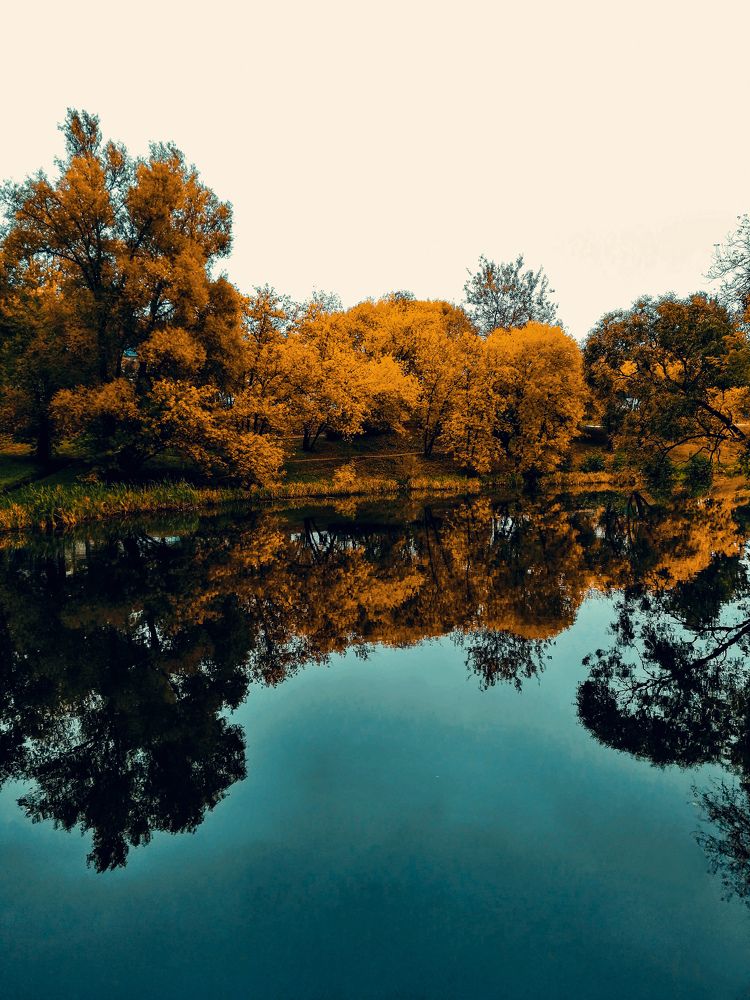 Photograph by Михаил Бородкин