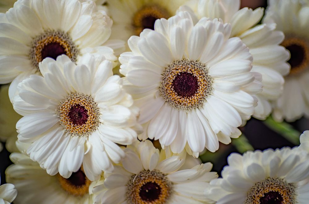 Photograph by Валерий Сарак