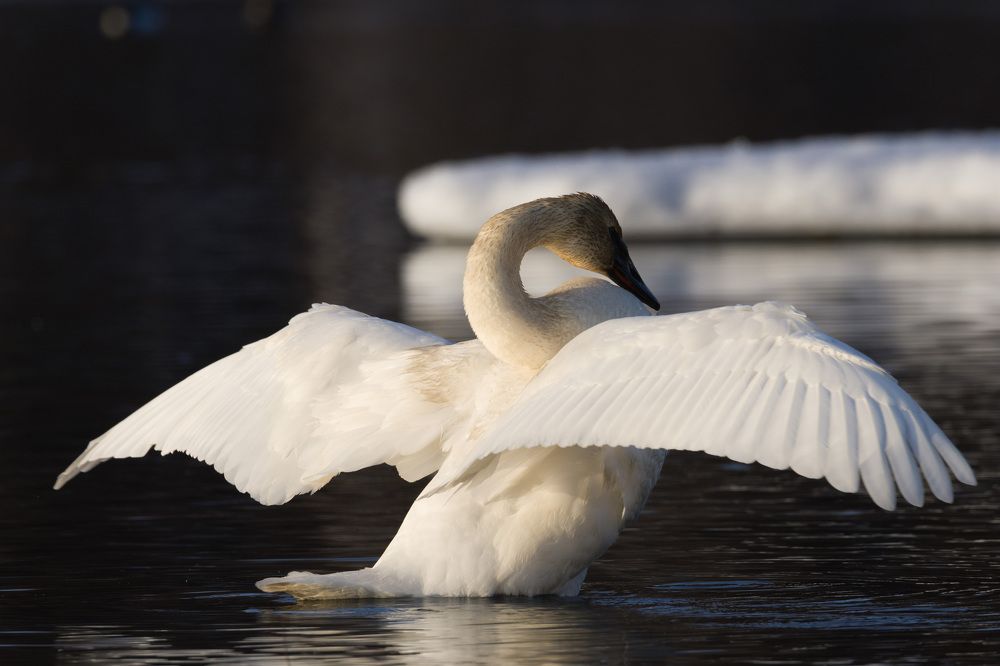 Photograph by Jared Solberg