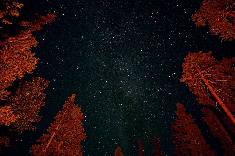 Photograph by Татьяна Машина