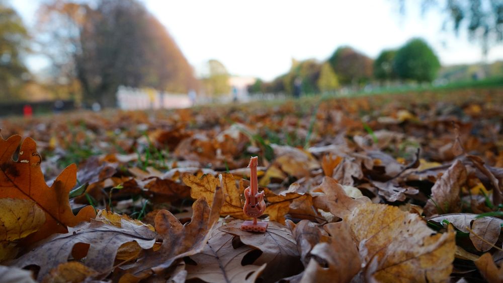 Photograph by Татьяна Дмитриева