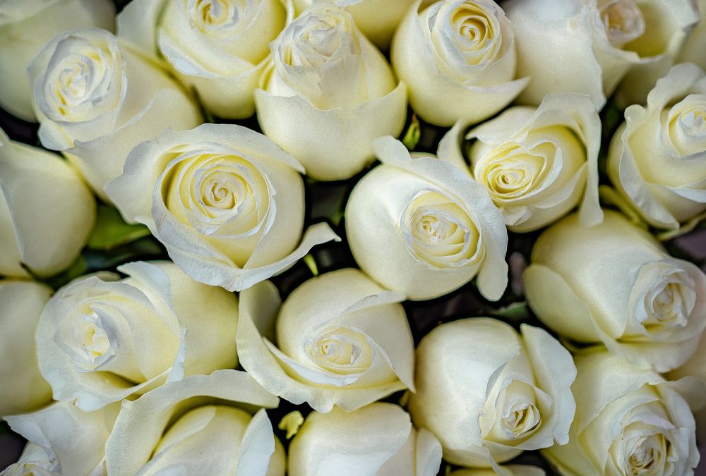 Photograph by Валерий Сарак