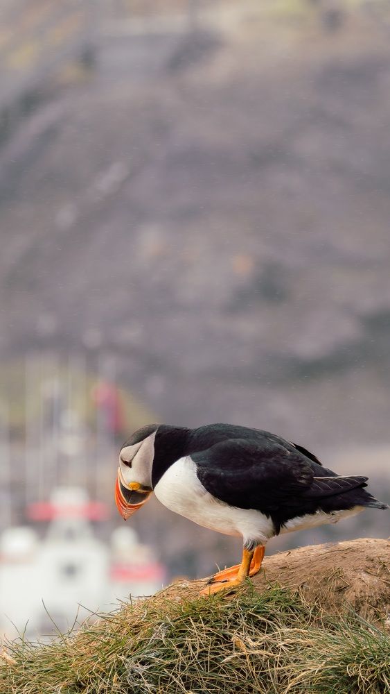 Photograph by Ektor Karyotakis