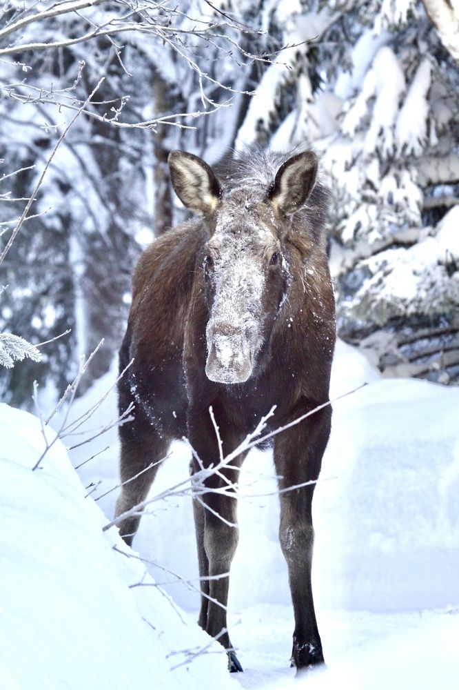 Photograph by Jared Solberg